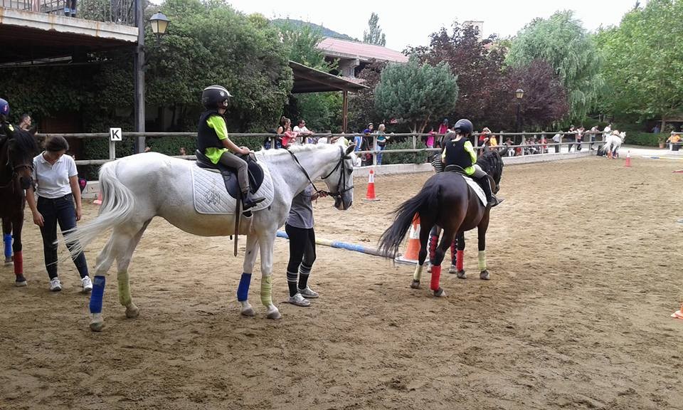 II. Campeonato Navarro Ponigames en Añezcar